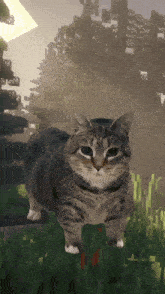GIF Besar